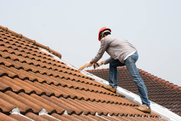 Best Roof Coating and Sealing  in Richmond Heights, FL